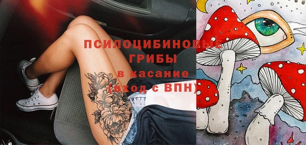 дживик Алексин