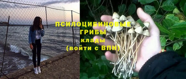 дживик Алексин