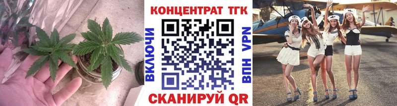 как найти закладки  Полярные Зори  ТГК Wax 