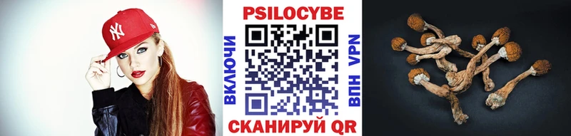 Псилоцибиновые грибы Psilocybine cubensis  ссылка на мегу онион  Полярные Зори  купить  